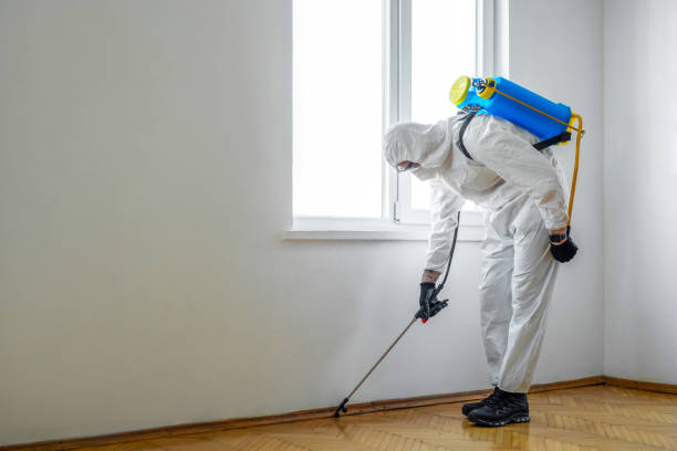 Best Commercial Pest Control Services  in Hamlin, TX